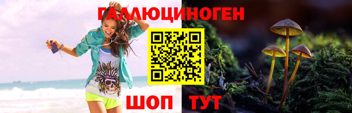 Морозовск  Галлюциногенные грибы ЛСД  Галлюциногенные грибы Magic Shrooms  где можно купить   Вход с VPN 